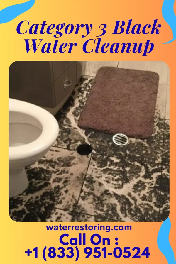 Category 3 Black Water Cleanup in Fairview Beach, VA