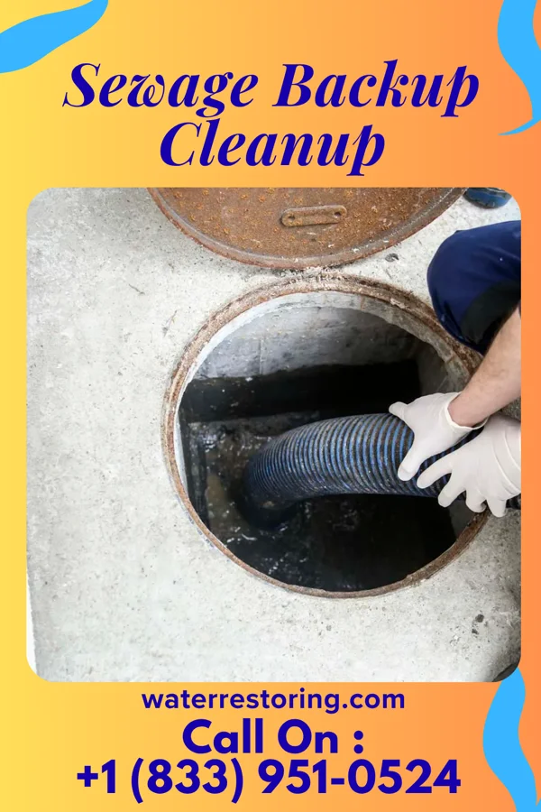 Sewage Backup Cleanup in Fairview Beach, VA