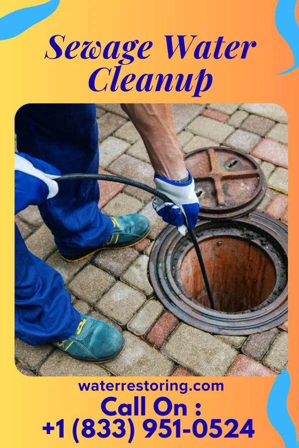Sewage Water Cleanup in Fairview Beach, VA