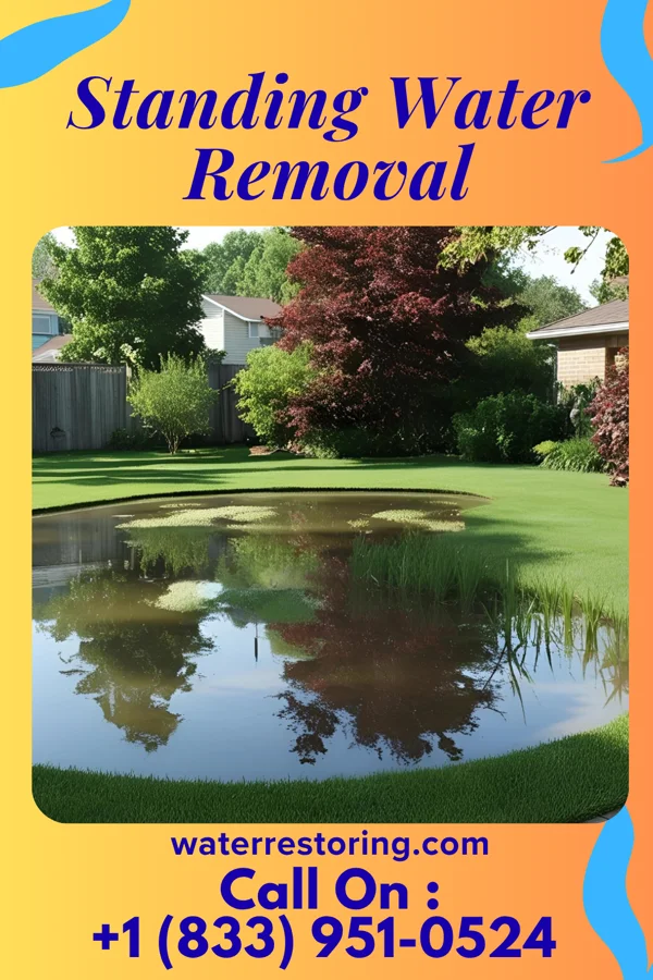 Standing Water Removal in Fairview Beach, VA